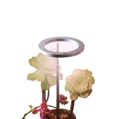 China Seed Planting New Children's Fun Indoor Three-Ring Plant To Grow LED Light Plant To Grow LED Light Light for sale