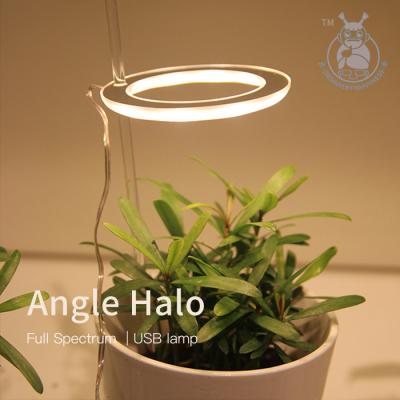 China Seed Starting Single Halo Indoor Plant USB Small Ring Plant Growth Light LED Led Plant Light Halo for sale