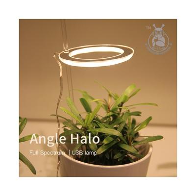 China Seed Starting Single LED Ring Plant Light Plant Growth Light Plant Desktop Halo High Quality for sale