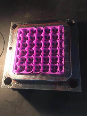 China bandeja plástica do ovo que faz a máquina a máquina plástica da modelação por injeção bandeja plástica do ovo de codorniz à venda
