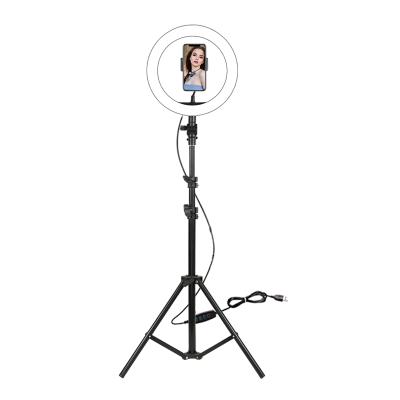 China Ring Light Selfie Ring Light F-531C1 Led Photographic Light for sale