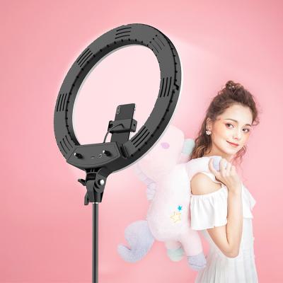 China Live Streaming Makeup Photography Video 18 Inch Ring Light Kit with Power Cord F-18CA for sale