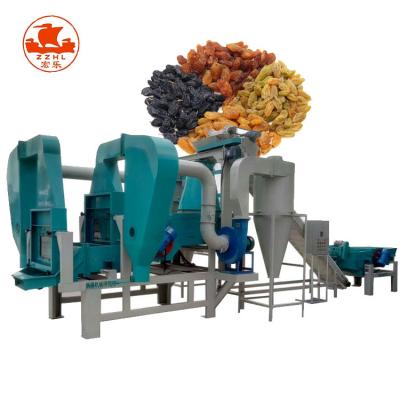 China Fully Automatic Grape Seed Separator Destemmer Processing Machine Grape Dryer Machine for sale