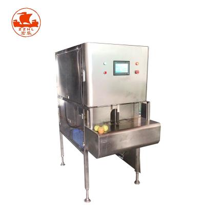 China Top Class Orange Peeler with High Capacity and Performance Hight of fruit 160-350mm for sale