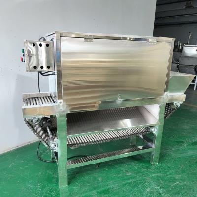 China Commercial Professional Garlic Skin Dry Peeling Machinery Peeler Automatic Garlic Peeler For Sale for sale