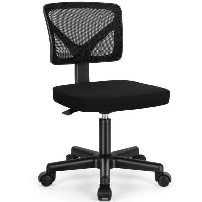 China Low-Back Ergonomic Home Office Desk and Chair with Lumbar Pillow in Customized Color for sale