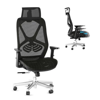 Cina 3 Gas Lift Ergonomic High Back Office Chair con design del sedile dinamico stile moderno in vendita