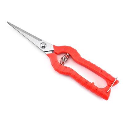 China Fruit Tree Anti-skid Vigorous Bonsai Scissors Pruning Shears Handle Garden Scissors Pruner Gardening Tool for sale