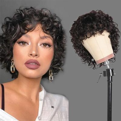 China Short Straight Virgin Human Hair Pixie Straight Lace Front Pixie Short Curls Hair Brazilian Afro Curly Hair Wigs for sale