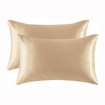 China Anti-Static Hot Selling 100% Silk Pillowcase Fashion Mulberry Silk Pillow Case With Zipper for sale