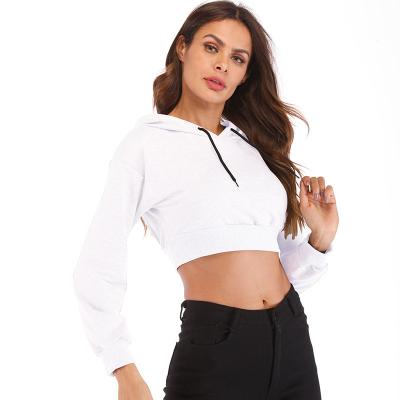 China Wholesale Cropped Top Anti-wrinkle Hoodies Women Fashionable Custom Embroidered Printed Plain Streetwear Hoodies for sale