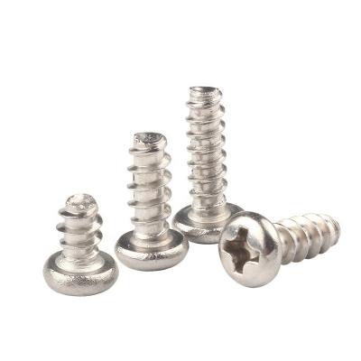 China Rust Resistant Hot Sale Silver Plated Pan Head Tail Flat Screws for sale