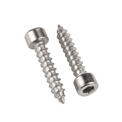 China Hexagon Master Head Factory Direct Selling Hexagon Self Tapping High Strength Socket Screws for sale