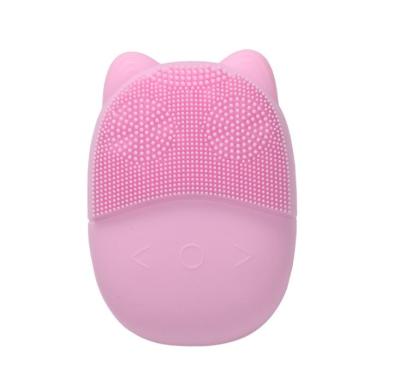 China Other 2021New Waterproof Electric Silicone Brush Beauty Silicone Brush Hair Facial Cleaning Sonic Massager for sale