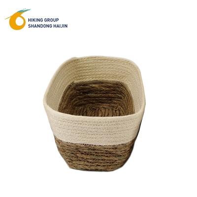 China Shallow Artificial Woven Grass Basket Storage Woven Decorative Home Decorative Sea Grass Basket Porcelain for sale