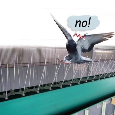 China Disposable Stainless Steel Spike Bird Repellent Spikes Flexible Pigeon Anti Bird for sale