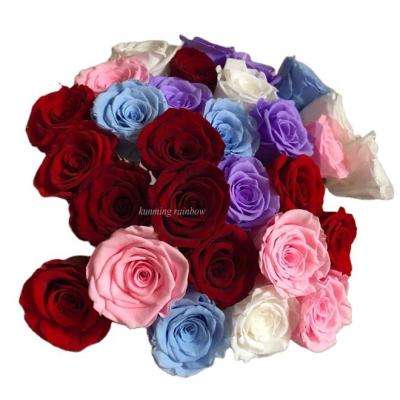 China Wholesale natural touch cheap preserved roses bud real nature lasting preserved roses head in 5-6cm for sale