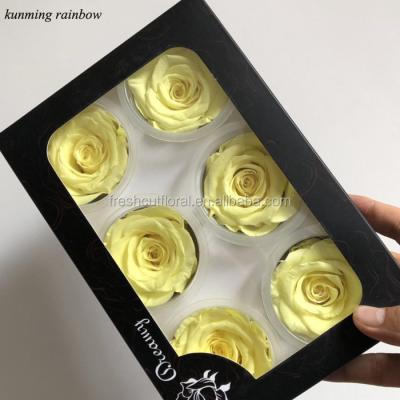 China Rose Flowers preserved with Kunming Rainbow 6cm high quality preserved rose flowers for sale