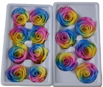 China Natural Rose Flower Preservd Rainbow Floral Contact Wholesaler for sale