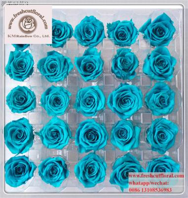 China Export high quality glycerin preserved roses from Rainbow Floral Company for florist flowers 2-3cm for sale