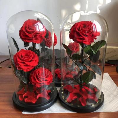 China Real Environmental Protection Green Single Preserved Rose In Glass Dome As Wedding Decoration for sale