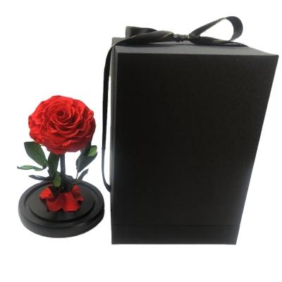 China Real And Natural Touch Preserved Rose Stabilized Glass Rose As Valentines Gifts Flowers for sale