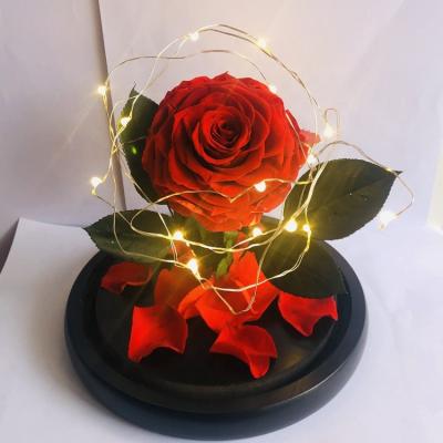 China Real and natural touch Beauty and the Beast rose led light Rose in preserved glass twinkle rose forever in the dome for sale