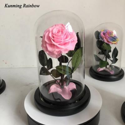 China Real and natural 100% real natural eternity preserved touch everlastiong rose flowers wholesale for sale