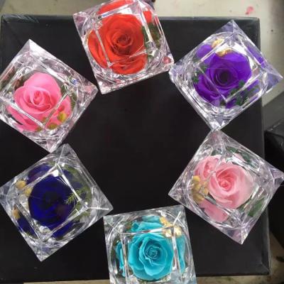 China Fashional Tiny Diameter 3cm Preserved Rose Buds In Acrylic Ring Boxes As Best Gifts for sale