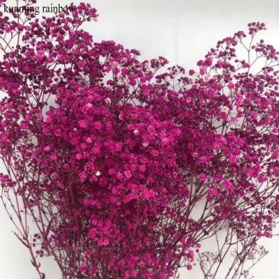 China Wholesale Natural Touch Good Quality Stabilized Preserved Gypsophila Flower For Wedding Decoration for sale