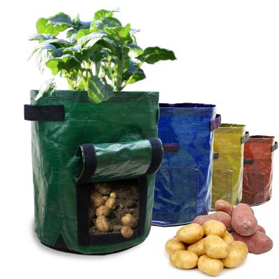 China Cheapest 10 Gallon Recyclable Green Round Planting Container Grow Bags For Fruit for sale