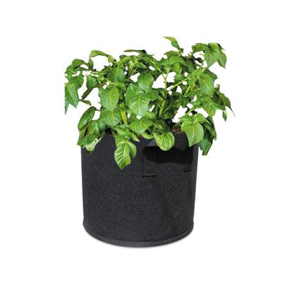 China Guangdong Recyclable Cloth 1 Gallon Indoor Seedling Viable Planting Growing Bags for sale