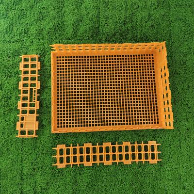 China Portable Lightweight Poultry Transport Cages Compatible With Various Poultry Types for sale