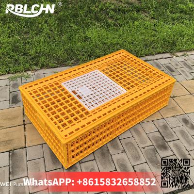 China Convenient Hassle Free Durable Sturdlargey Poultry Transportation Cages for sale