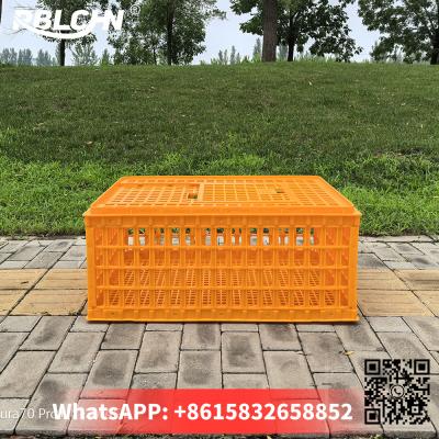 China Convenient Smooth Secure Poultry Transportation 74cm*54cm*32cm Large Chicken Cage for sale