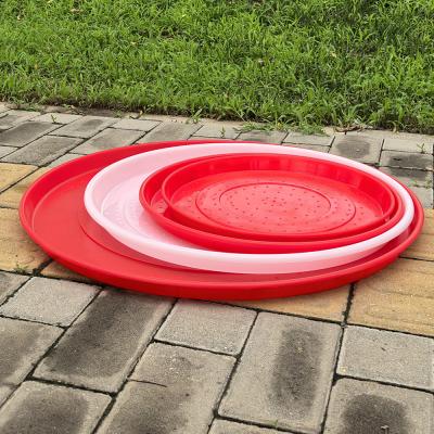 China Lightweight Portable Plastic Chicken Feeding Tray For Backyard Poultry for sale