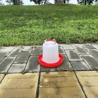 China Cone Shaped Plastic Chicken Drinker Durable Red Water Supply For Birds for sale