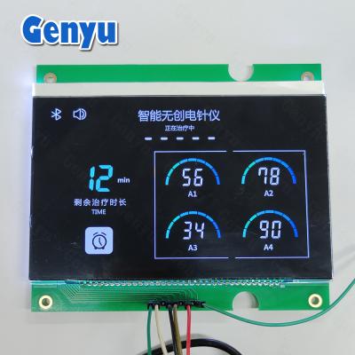 Chine 4.8V VA Module LCD LCM Segments de couleur noire Pour appareil d'électroacupuncture à vendre