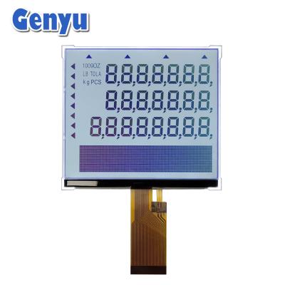 China Segment COG LCD-module FSTN 24pin FPC 5,5 inch LCD-scherm voor elektronische schaal Te koop