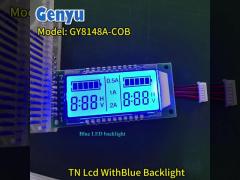 Customization Segment LCD Modules TN 6 Digit LCD Display Blue Backlight