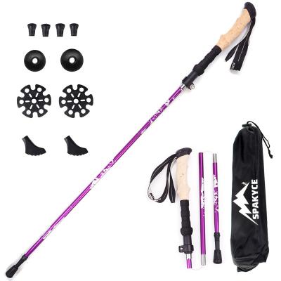 China EVA Hiking Sticks Hiking 2022 all terrain EVA Cork Handle Collapsible Hiking Stick for sale