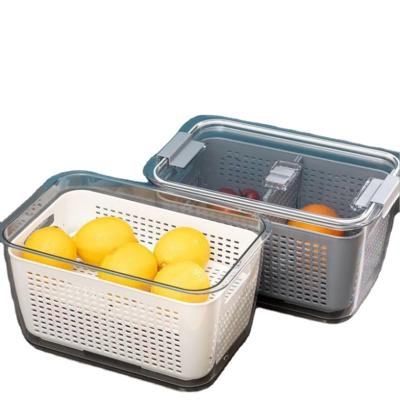 China Eco-Friendly Sustainable Plastic Vegetable Storage Boxes Plastic Fruit Storage Drainer Baskets Fruit Storage Drainer Baskets With Lid for sale