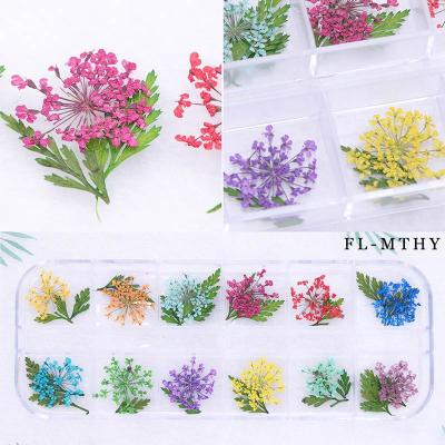 China For 3d Nail Art Beauty Decoration 12 Models Flower Nail Art Decoration 12 Models Real Flower Nail Art Decoration Tips DIY 3D Manicure Stickers Decals Application Dry Flowers for sale