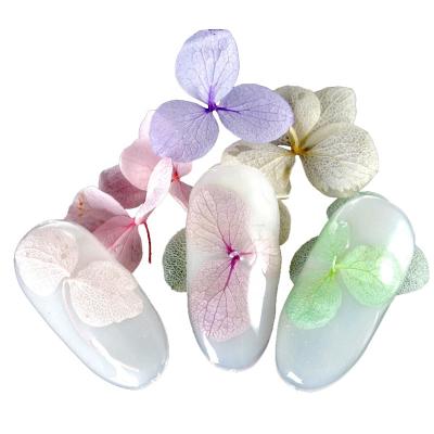 China For 3d Nail Art Beauty Decoration 1 Case WHEEL+1 Manicure Decoration 3D Flower Stickers ZCF2020082601 100% Real Dried Flower Sticker for sale