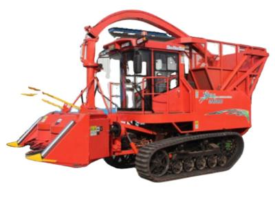 China 9QZ-2100L Silage Harvester Straw Chopper Forage Harvester Type Rice Crawler for sale