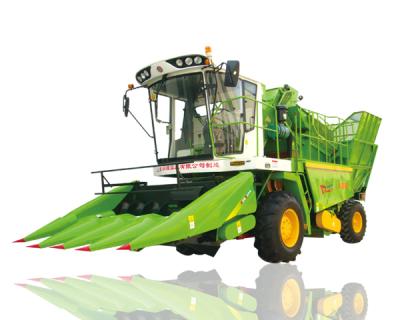 China Corn Maize Combine Harvester for sale