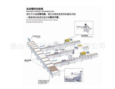 China Square Shape Automatic Packing Machine , Feeding Food Candy Sugar Packing Machine for sale