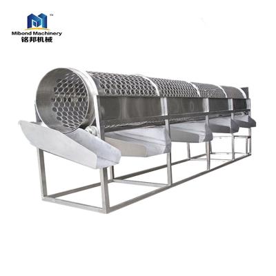 China Automatic Industrial Fruit and Vegetable Stainless Steel Citrus Sorters for sale