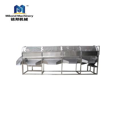 China 304 stainless steel factory price fruit and vegetable grader mango grading rotary drum grader for sale