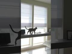 100% Polyester Blackout Roller Blinds Roman Fabric For Window Treatment